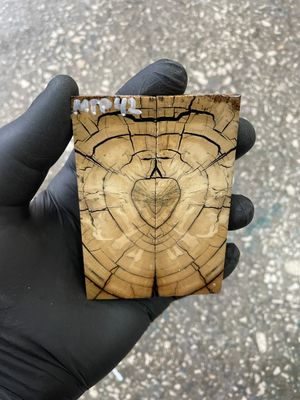 Mammoth tusk scales 3.54-1.18-0.27 inch MTP42