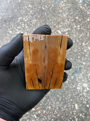 Mammoth tusk scales 3.54-1.18-0.27 inch MTP43