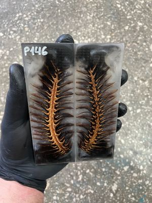 Pinecone in resin scales for knifehandle 5.19-1.73-0.43inch P146