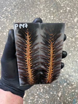 pinecone resin knife scales pair handle material P147