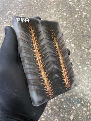 stabilized pinecone in resin knife scales unique pattern custom knifemaking material