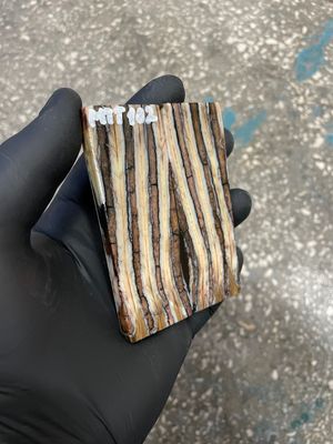 Woolly mammoth tooth scales close up natural pattern fossil knife material