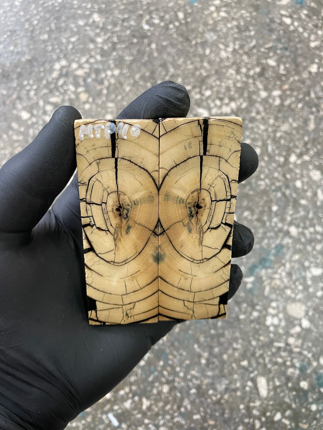 stabilized mammoth tusk knife scales pocket knife pair fossil material MTP40