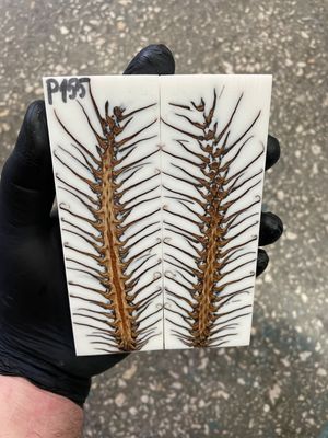 Pinecone in resin scales for knifehandle 5.19-1.73-0.43inch P155