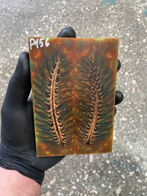 Pinecone in resin scales for knifehandle 5.19-1.73-0.43inch P156