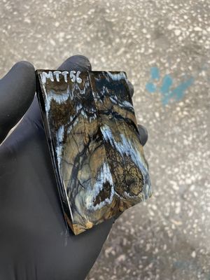 Woolly mammoth tooth scales close up natural pattern fossil knife material