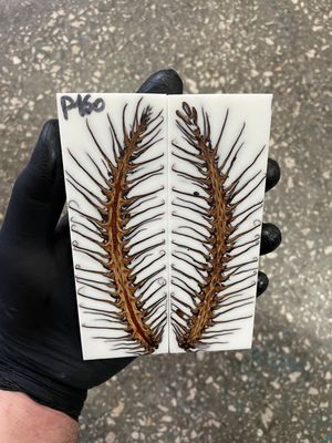 Pinecone in resin scales for knifehandle 5.19-1.73-0.43inch P160