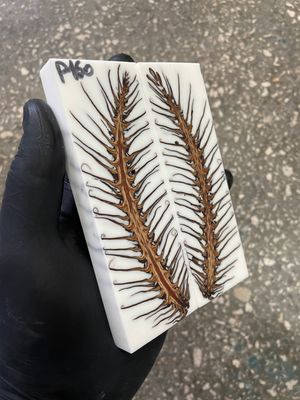 stabilized pinecone in resin knife scales unique pattern custom knifemaking material