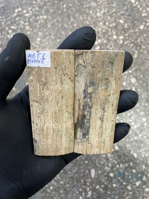 mammoth bark tusk pair scales MBT1