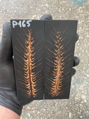 Pinecone in resin scales for knifehandle 5.19-1.73-0.43inch P165