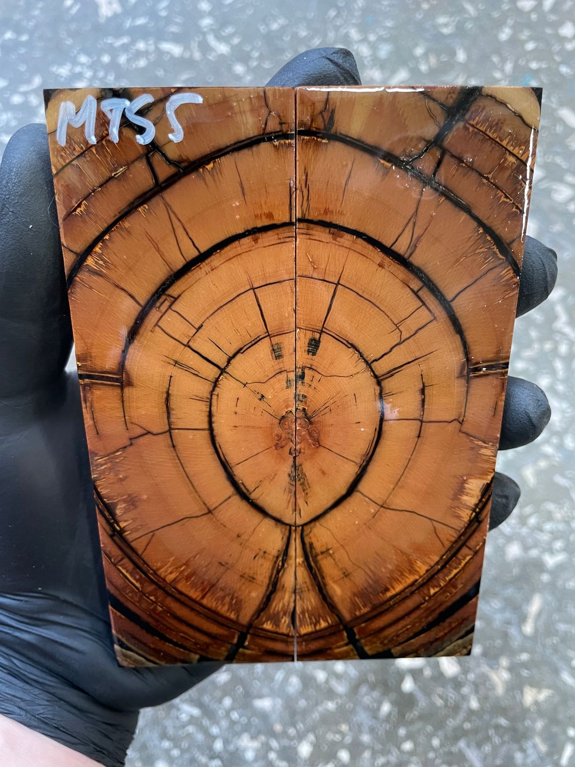 stabilized mammoth tusk knife scales pair fossil handle material MTS5