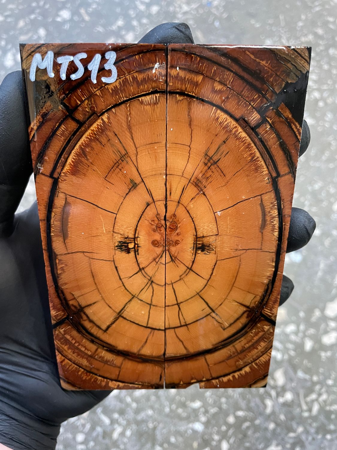 stabilized mammoth tusk knife scales pair fossil handle material MTS13