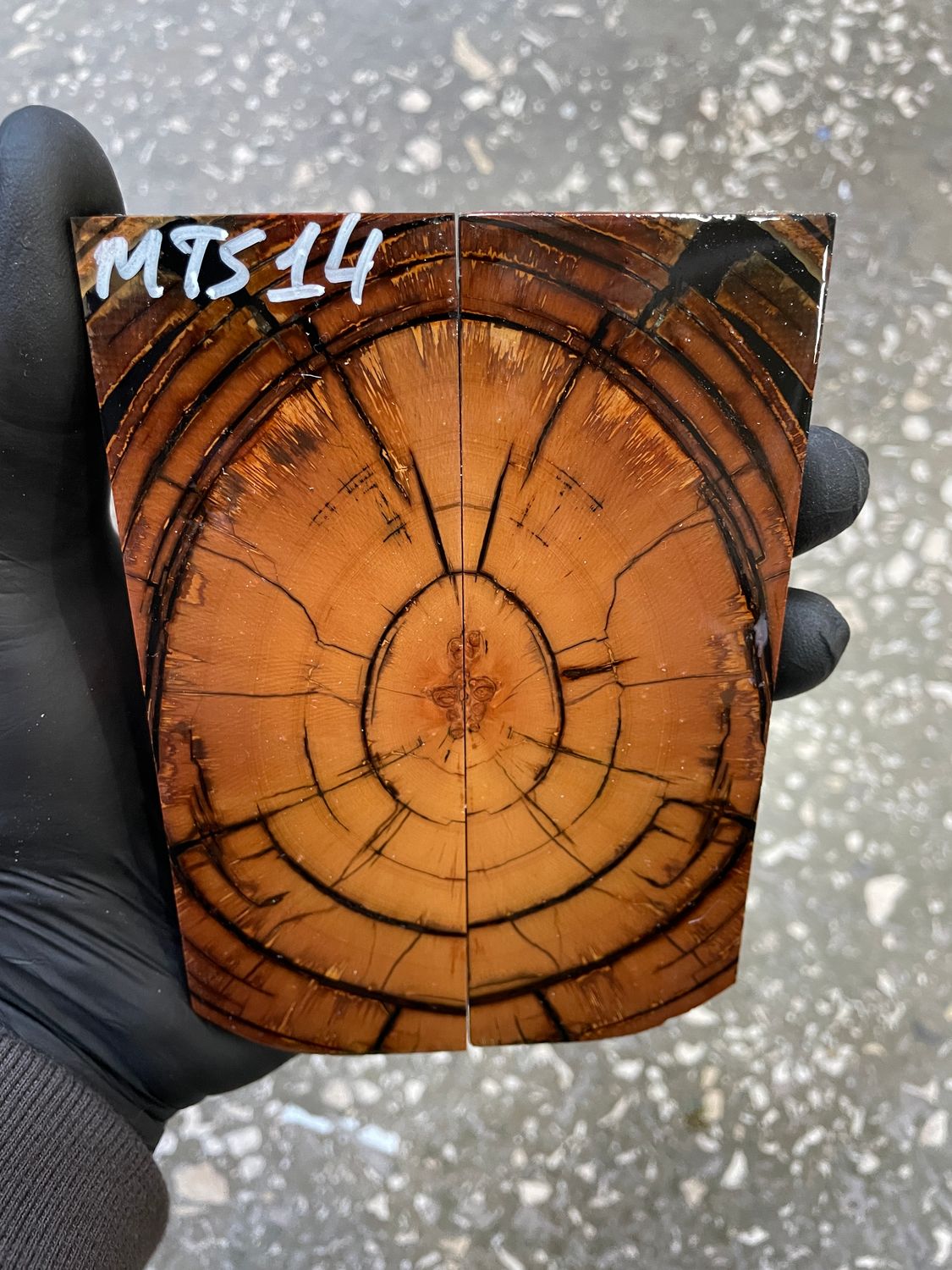 stabilized mammoth tusk knife scales pair fossil handle material MTS14