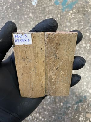 mammoth bark tusk pair scales MBT3