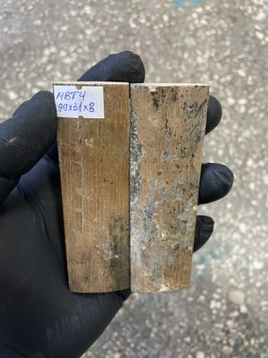 mammoth bark tusk pair scales MBT4