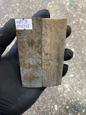 mammoth bark tusk pair scales MBT9