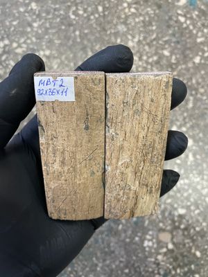 mammoth bark tusk pair scales MBT2