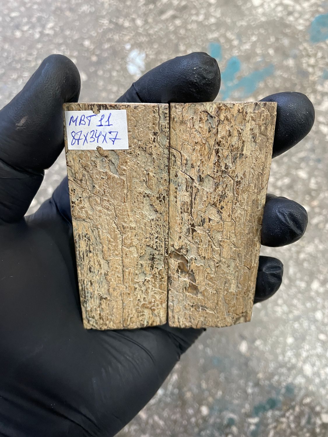 mammoth bark tusk pair scales MBT11