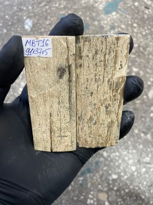 mammoth bark tusk pair scales MBT16
