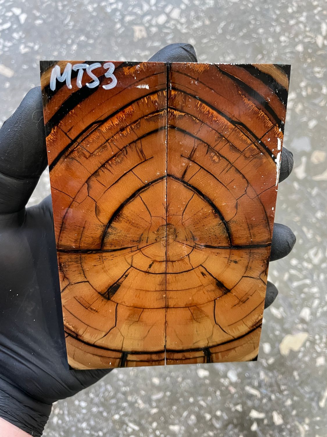 stabilized mammoth tusk knife scales pair fossil handle material MTS3