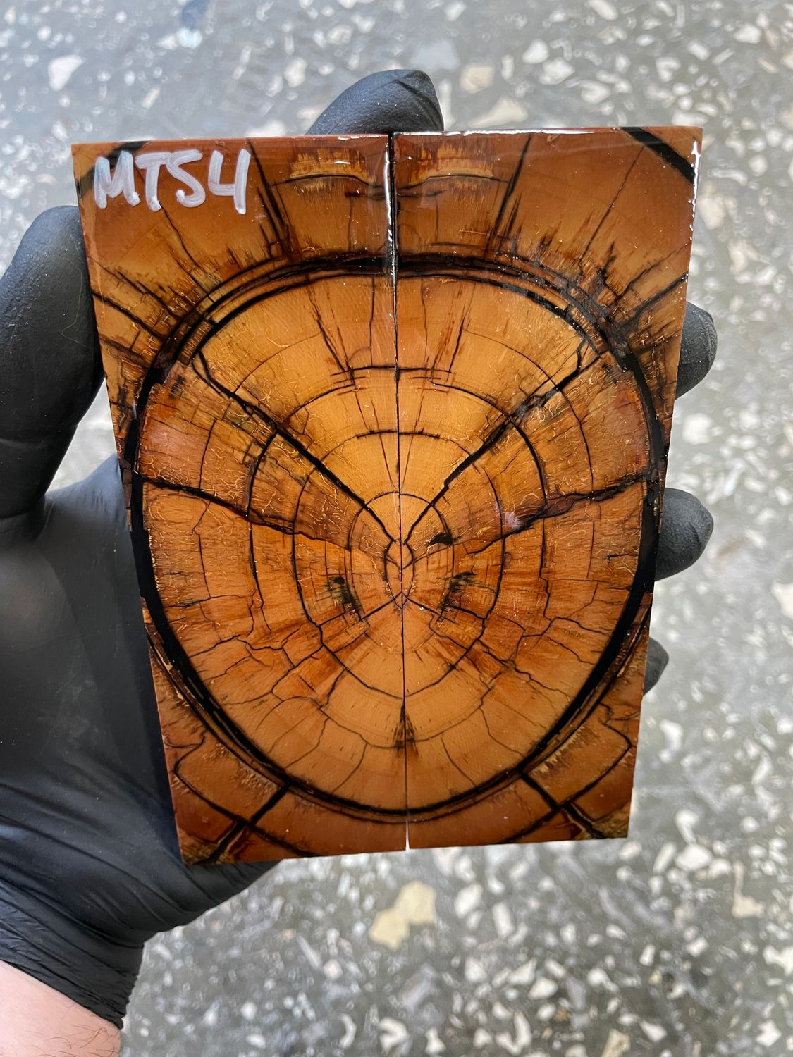 stabilized mammoth tusk knife scales pair fossil handle material MTS4