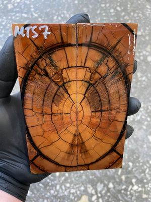 Mammoth tusk scales for knifehandle  5.31-1.81-0.39 inch MTS7