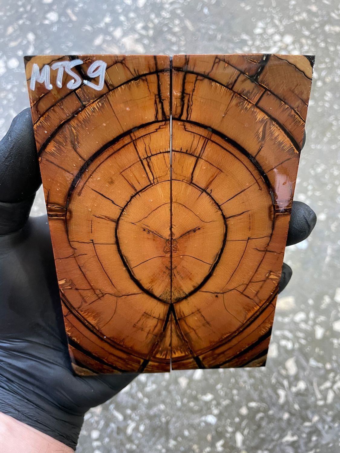 stabilized mammoth tusk knife scales pair fossil handle material MTS9