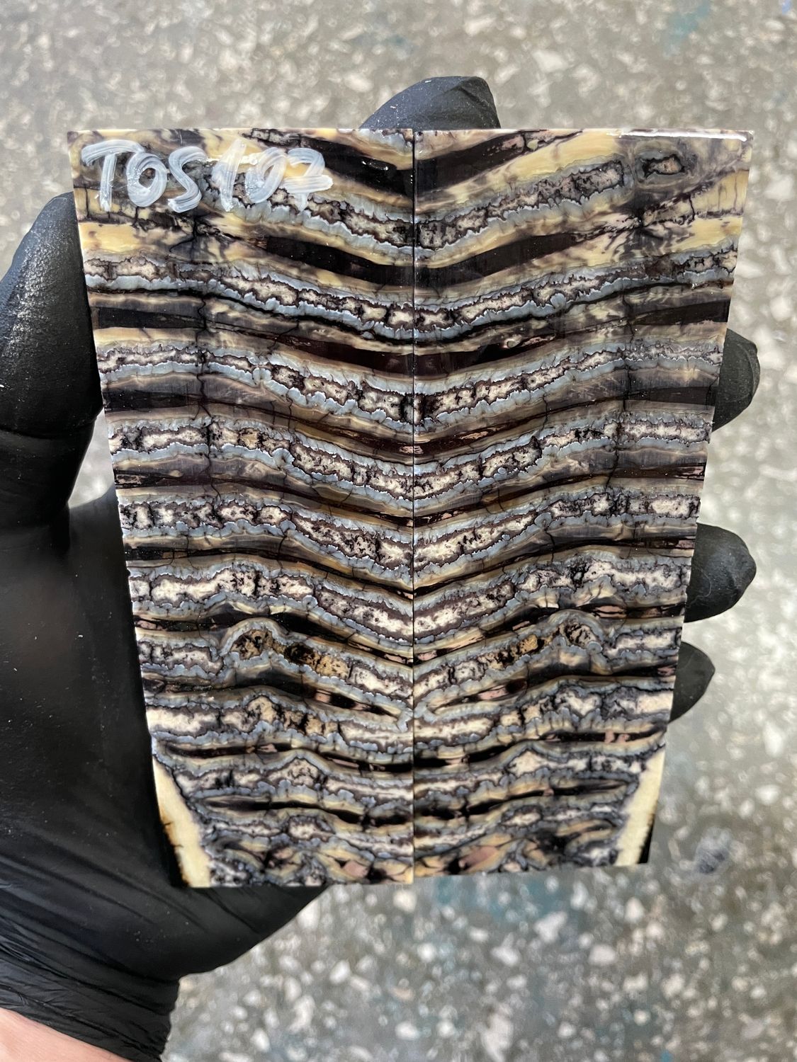 Mammoth tooth scales pair stabilized for knifehandl 5.19-1.81-0.39 inch TOS107