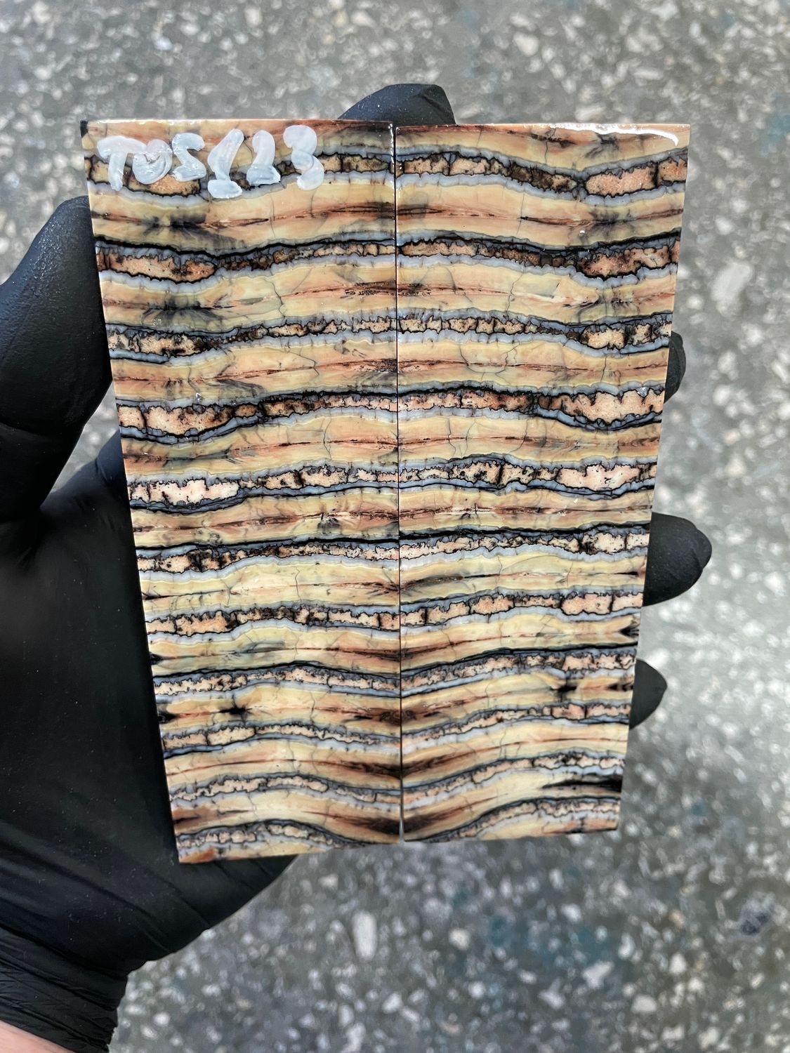 Mammoth tooth scales pair stabilized for knifehandl 5.23-1.77-0.39 inch TOS123