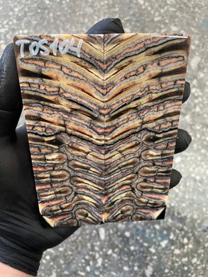 Mammoth tooth scales pair stabilized for knifehandl 5.19-1.88-0.39 inch TOS104