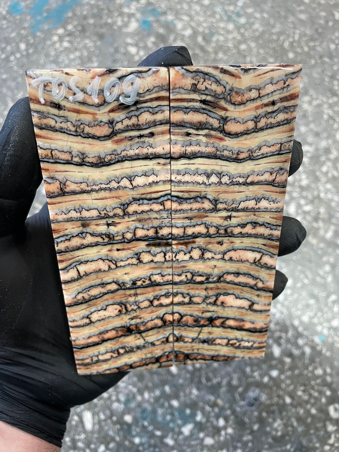 Mammoth tooth scales pair stabilized for knifehandl 5.23-1.77-0.39 inch TOS109