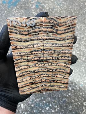 Mammoth tooth scales pair stabilized for knifehandl 5.23-1.77-0.39 inch TOS109