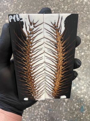 Pinecone in resin knife scales 5.19-1.73-0.43inch P189