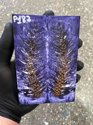 Pinecone in resin knife scales 5.19-1.73-0.43inch P187