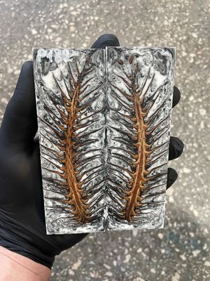 Pinecone in resin knife scales 5.19-1.73-0.43inch P182