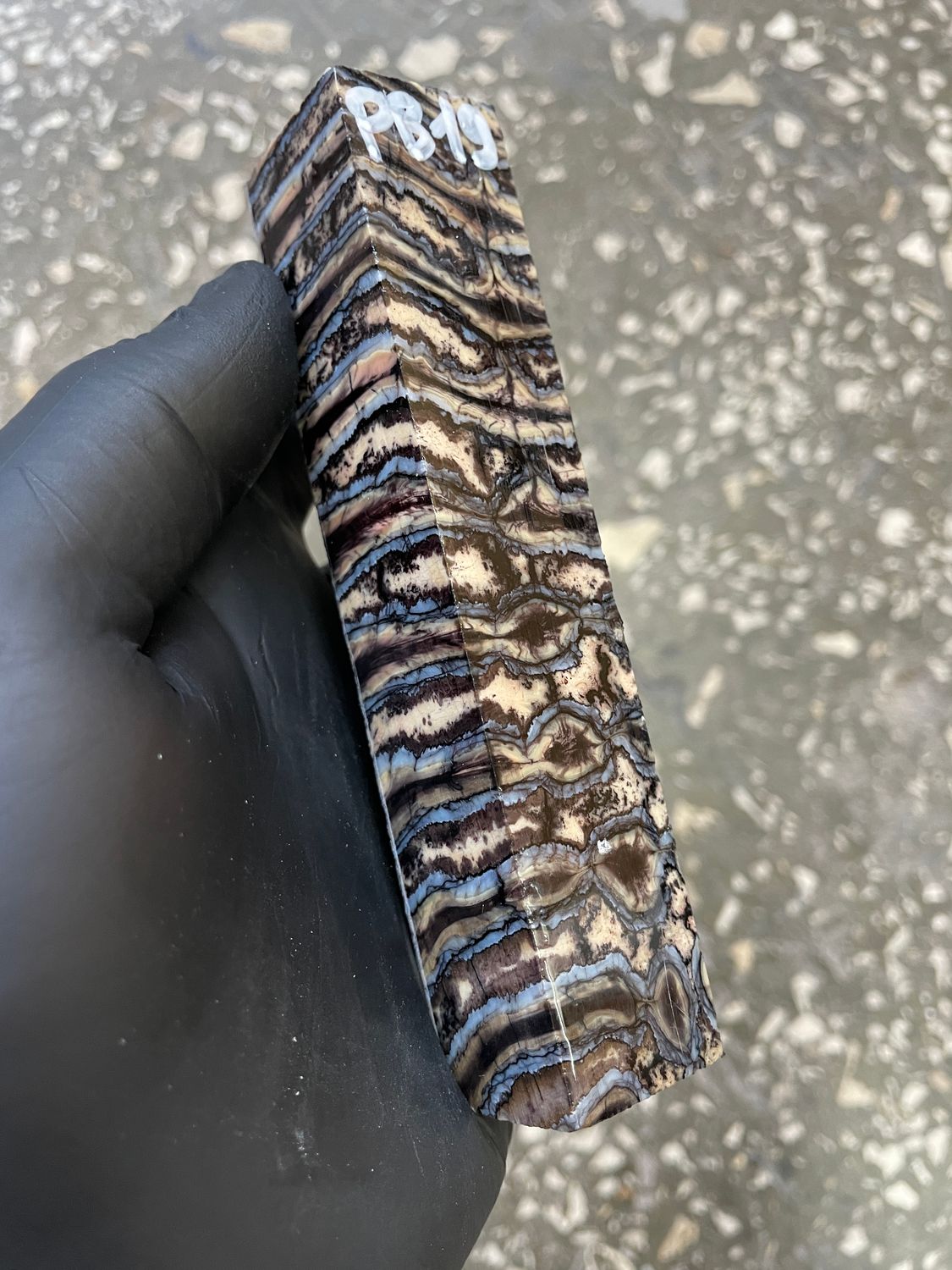 Mammoth tooth penblank 4.96-0.98-0.98 inch PB19