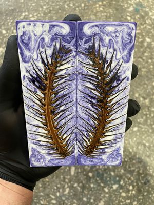 Pinecone in resin knife scales 5.19-1.73-0.43inch P199