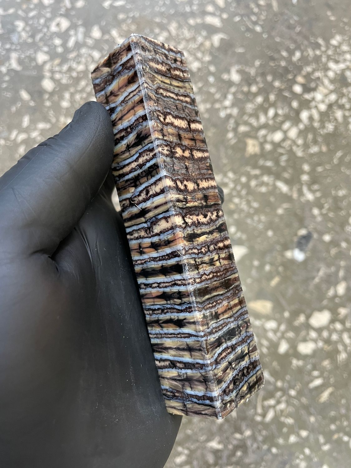 Mammoth tooth penblank 5.03-1.06-1.06 inch PB17