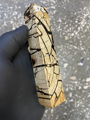 Mammoth tusk block stabilized penblank 5.03-0.98-0.98 inch BT2