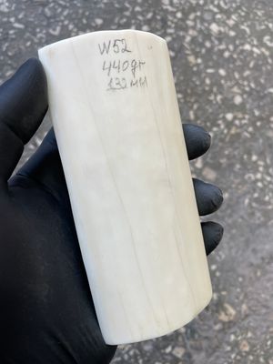 Walrus tusk for scrimshaw carving knifehandle 0.97 lb W52