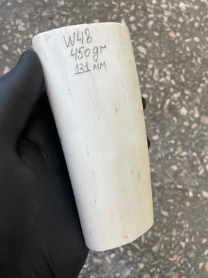 Walrus tusk for scrimshaw carving knifehandle 0.99 lb W48