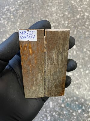 mammoth bark tusk pair scales MBT25