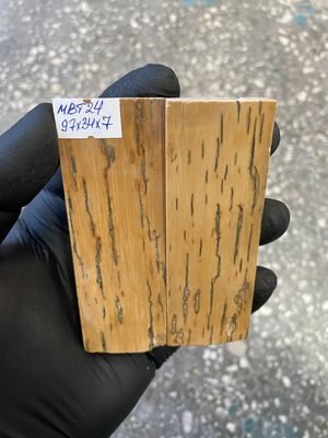 mammoth bark tusk pair scales MBT24