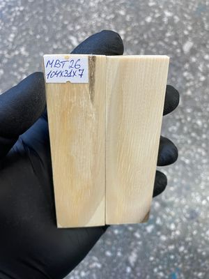mammoth bark tusk pair scales MBT26