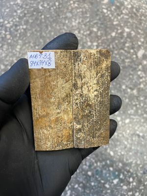 mammoth bark tusk pair scales MBT31