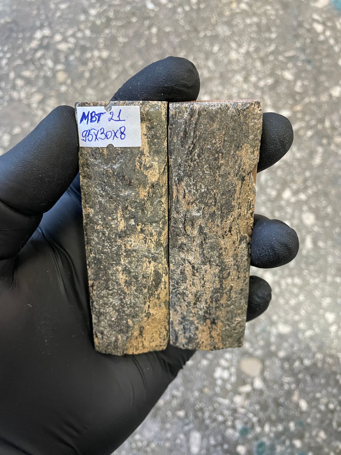 mammoth bark tusk pair scales MBT21