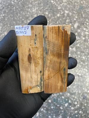 mammoth bark tusk pair scales MBT27