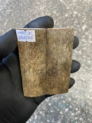 mammoth bark tusk pair scales MBT30