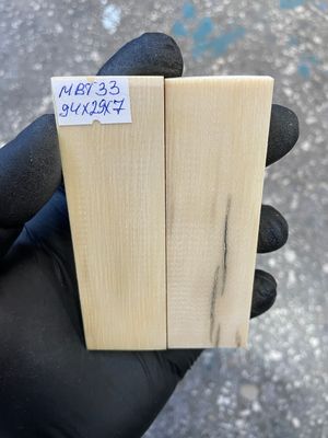 mammoth bark tusk pair scales MBT33