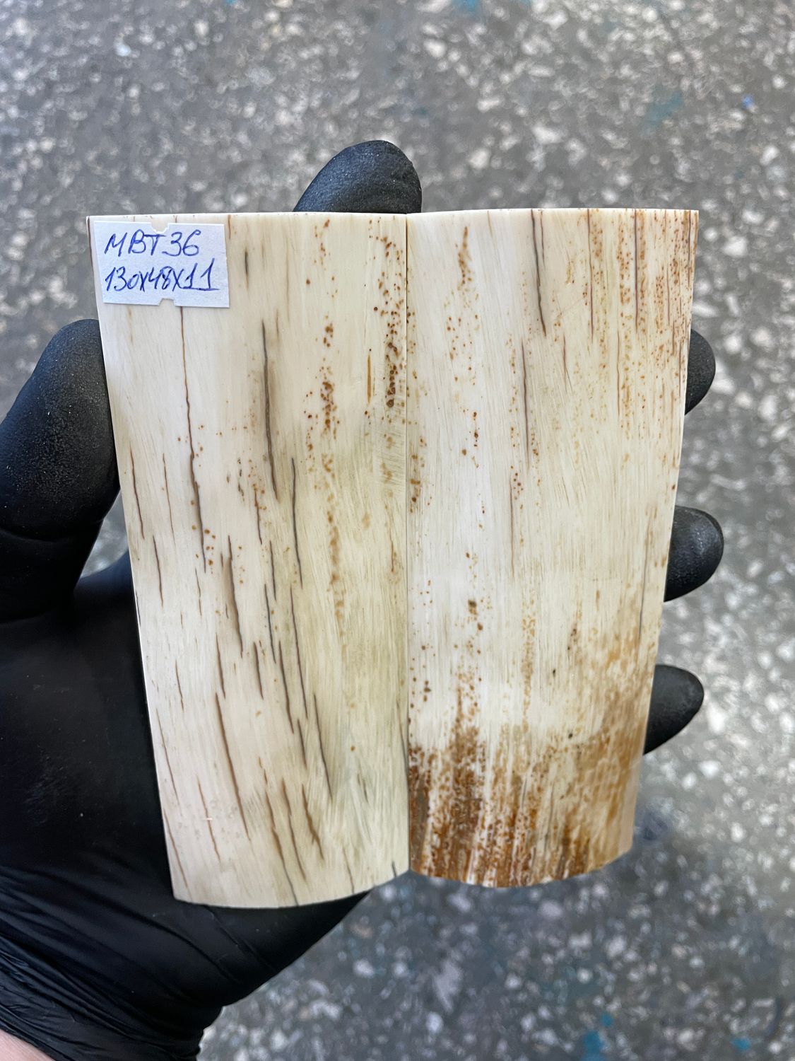 mammoth bark tusk pair scales MBT36